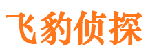 栾城侦探公司